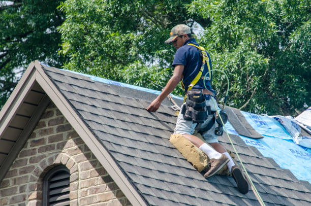 Best Roof Gutter Cleaning  in Stottville, NY
